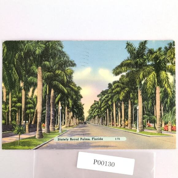Vintage Florida Linen Postcard Stately Royal Palm Trees Lined Street Miami 1941 - Picture 1 of 2